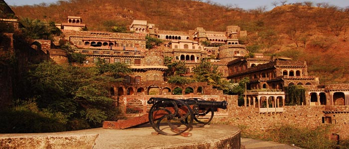 Neemrana Day Tour