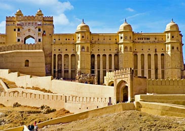 professional drivers in delhi for india tours